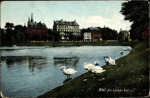 Ak Kiel Schleswig Holstein, Am Kleinen Kiel, Schwäne