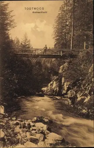 Ak Todtmoos im Schwarzwald, Wehraschlucht, Brücke