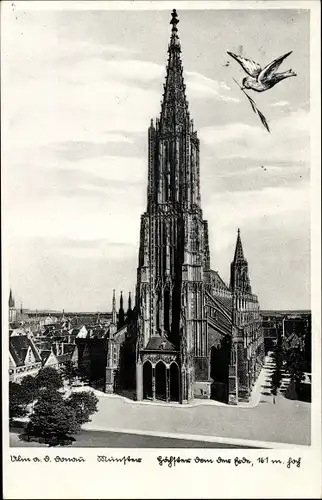 Ak Ulm an der Donau, Münster