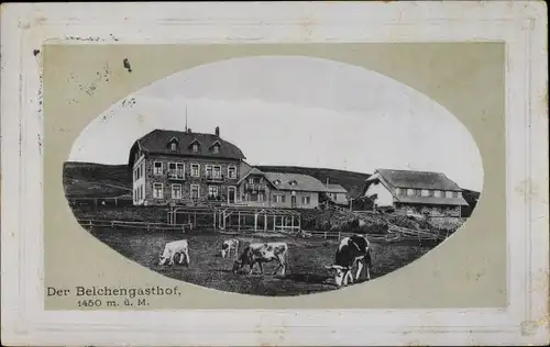 Passepartout Ak Aitern im Schwarzwald, Badischer Belchen, Belchengasthof, weidende Kühe