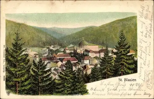 Ak St. Blasien im Schwarzwald, Gesamtansicht