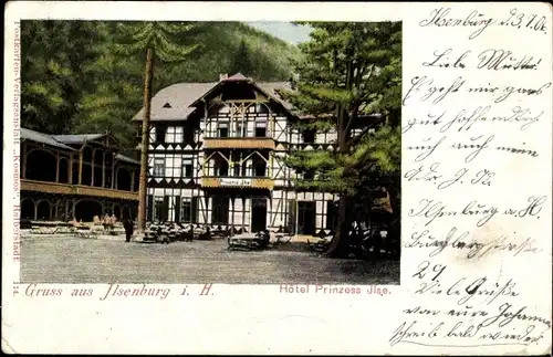 Ak Ilsenburg am Harz, Hotel Prinzess Ilse