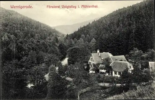 Ak Wernigerode am Harz, Försterei Voigtstieg im Mühlental