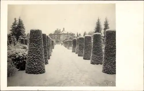 Foto Ak Hamburg Nord Ohlsdorf, Friedhof, Winter