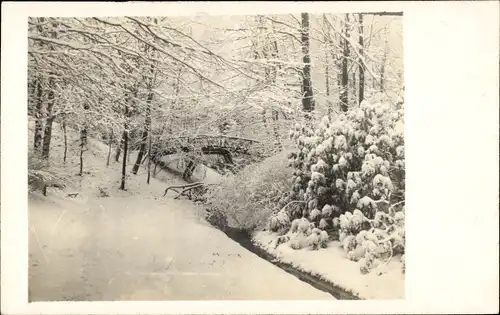 Foto Ak Hamburg Nord Ohlsdorf, Friedhof, Winter