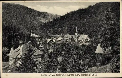 Ak Międzygórze Wölfelsgrund Schlesien, Sanatorium