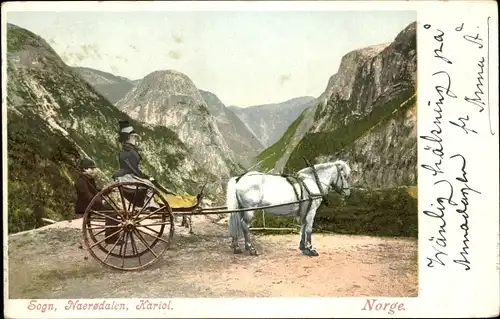 Ak Sogn Norwegen, Naerodalen, Kariol, Kutsche in den Berge, Pferd