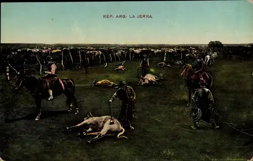 AK Argentinien, La Jerra, Brandzeichen auf Schweine