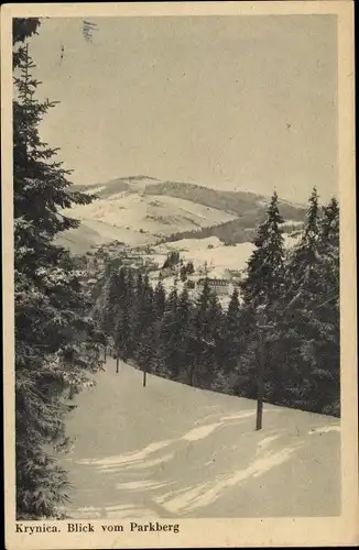 Ak Krynica Zdrój Polen, Blick vom Parkberg