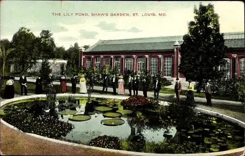 Ak Saint Louis Missouri USA, The Lily Pond, Shaw's Garden