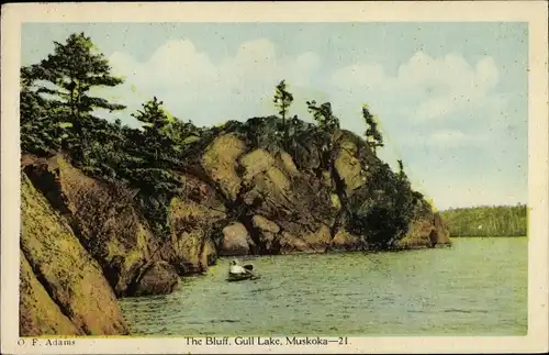 Ak Muskoka Lakes Ontario Kanada, The Bluff, Gull