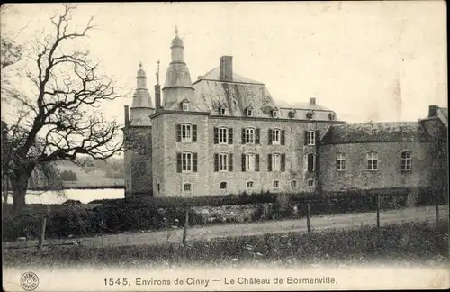 Ak Ciney Wallonien Namur, Château de Bormenville