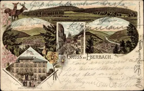 Litho Eberbach am Neckar Odenwald Baden, Straßenpartie, Hotel Leininger Hof