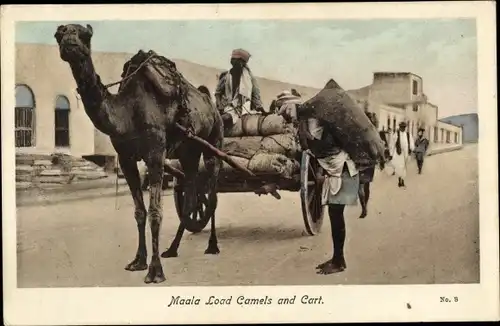 Ak Aden Jemen, Maala, Lastenkamel, Fuhrwerk