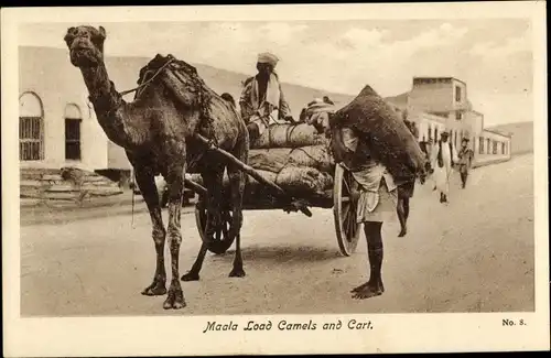 Ak Aden Jemen, Maala, Lastenkamel, Fuhrwerk
