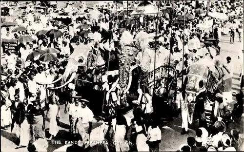 Ak Kandy Sri Lanka Ceylon, The Kandy Perahera