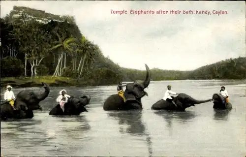 Ak Sri Lanka, Elefanten beim Baden, Einheimische