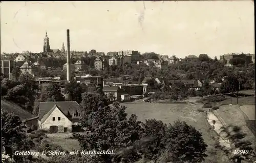 Ak Złotoryja Goldberg Schlesien, Gesamtansicht, Katzbachtal