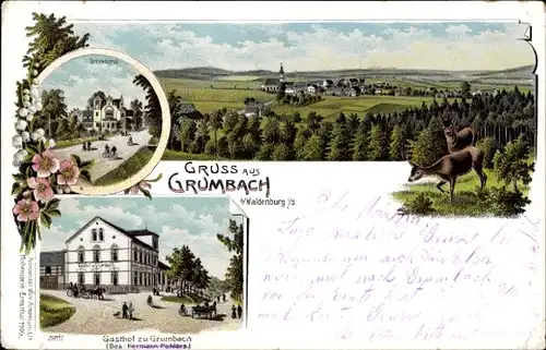Litho Grumbach Callenberg in Sachsen, Panorama, Gasthof, Rehe