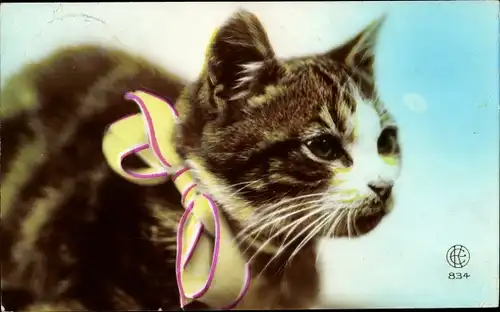 Ak Getigerte Katze mit einer Schleife am Hals