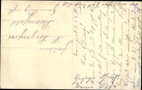 Ak Junge Frau mit einer kleinen Katze, Portrait, Hut