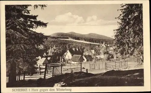 Ak Schierke Wernigerode im Harz, Ortspartie gegen den Winterberg