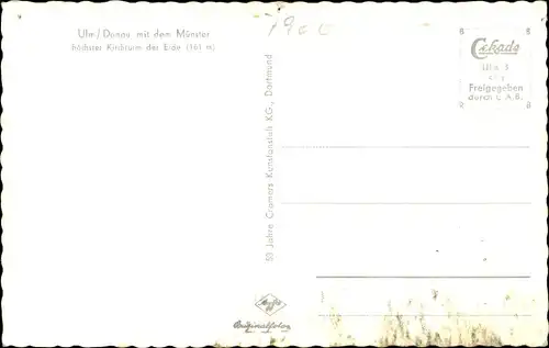 Ak Ulm an der Donau, Totalansicht, Münster