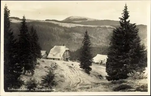 Ak Bernau im Schwarzwald, Herzogenhorn, Todtnauerhütte
