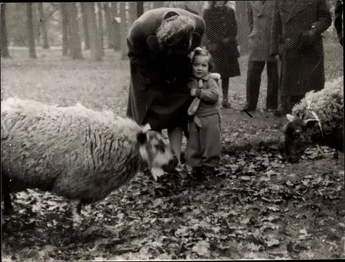 Foto Ak Prinzessin Juliana der Niederlande, Prinzessin Margriet, Schafe, 1946