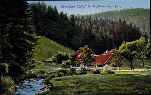 Ak Schluft Herzberg am Harz, Forsthaus