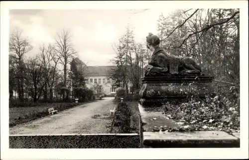 Ak Rheinsberg Brandenburg, Sanatorium Helmut Lehmann, Park, Statue