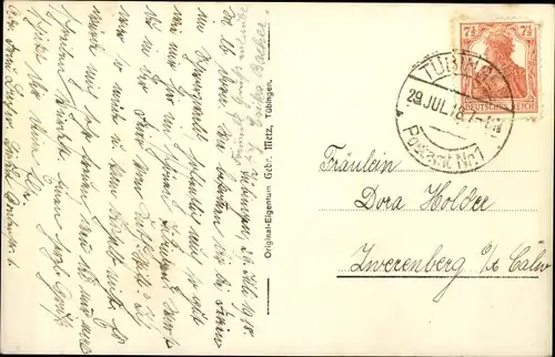 Ak Tübingen am Neckar, Alleenbrücke, Schloss