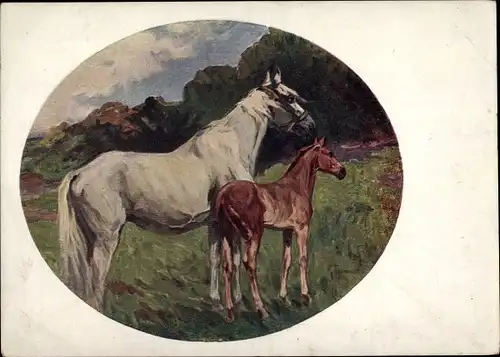 Künstler Ak Samokisch, N., Offelia, Die graue Stute mit dem Füllen, Pferd, Fohlen