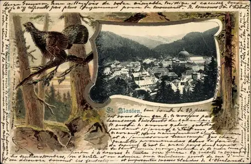 Präge Passepartout Ak Sankt Blasien im Schwarzwald, Gesamtansicht, Auerhuhn