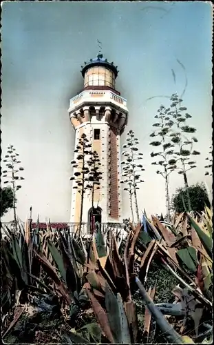 Ak Sète This Hérault, Der Hauptleuchtturm und seine Aloe