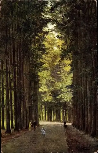Künstler Ak Gerstenhauer, Johann Georg, niederländisches Motiv, Waldweg