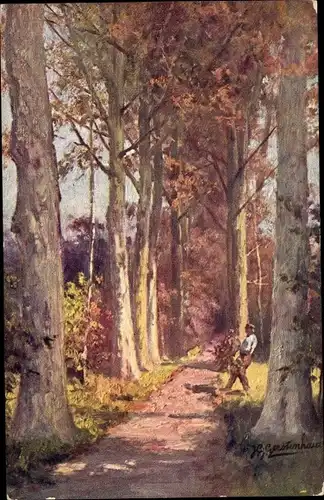 Künstler Ak Gerstenhauer, Johann Georg, niederländisches Motiv, Waldweg, Herbst