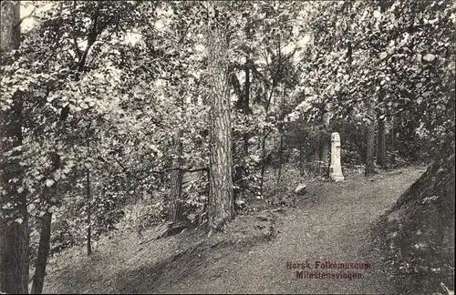 Ak Norwegen, Milestensvingen, Norsk Folkemuseum