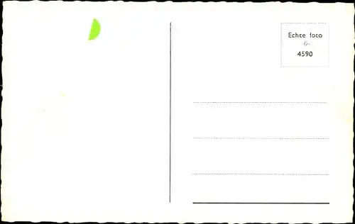 Ak Langhaarige Katze, Tierportrait