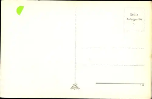 Ak Getigerte Katze, Tierportrait