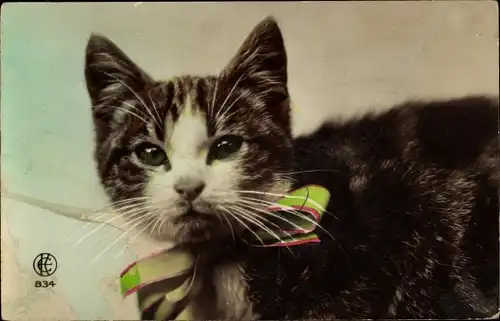 Ak Getigerte Katze mit einer Schleife am Hals