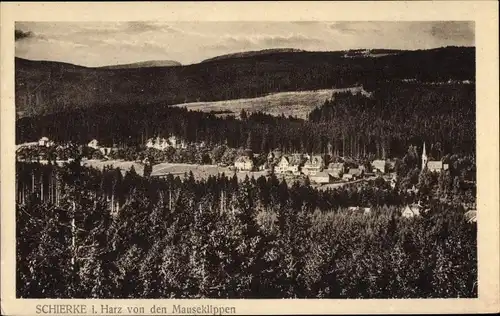 Ak Schierke Wernigerode im Harz, Teilansicht mit Mauseklippen