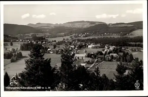 Ak Hinterzarten im Schwarzwald, Totalansicht