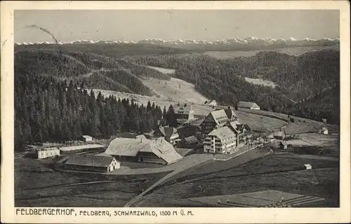 Ak Feldberg im Schwarzwald, Feldbergerhof, Panorama