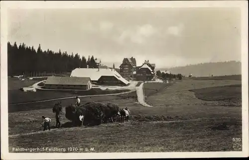 Ak Feldberg im Schwarzwald, Feldbergerhof, Feldarbeiter