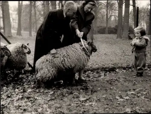 Foto Ak Prinzessin Juliana der Niederlande, Prinzessin Margriet, Schafe, 1946