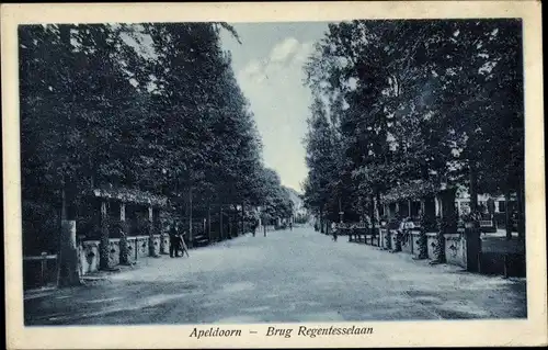 Ak Apeldoorn-Gelderland, Regentesselaan-Brücke