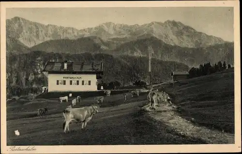 Ak Garmisch Partenkirchen in Oberbayern, Partnachalm, Kühe