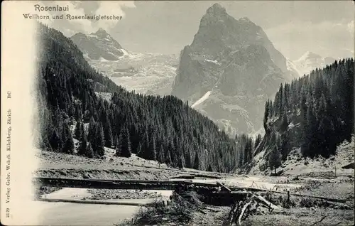 Ak Rosenlaui Schattenalb Kanton Bern, Wellhorn und Rosenlauigletscher