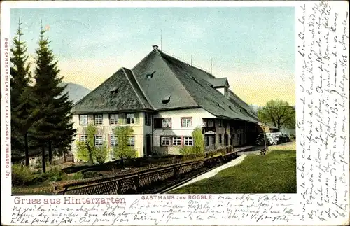 Ak Hinterzarten im Schwarzwald, Gasthof zum Rössle